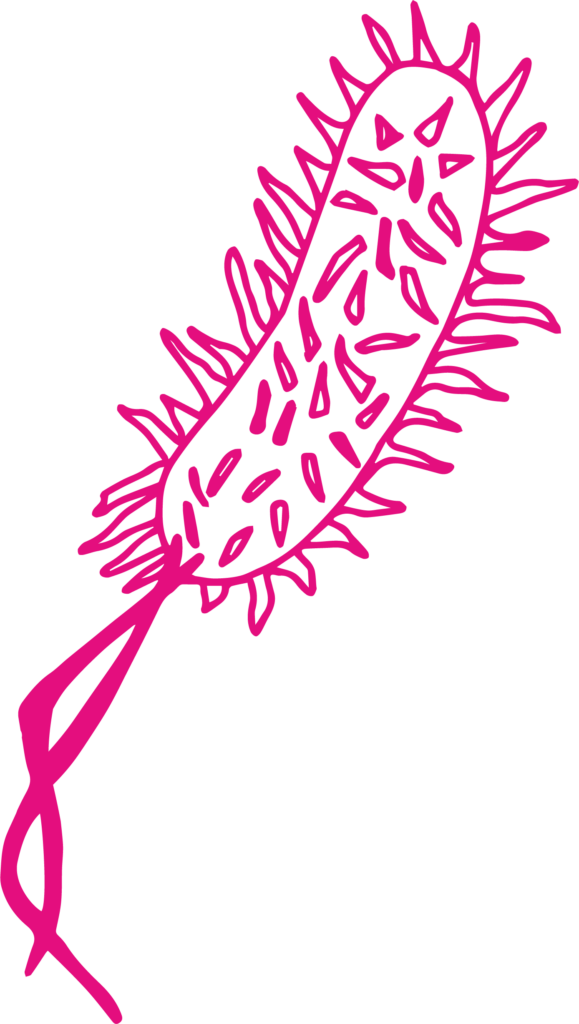 Logo Pink ohne Text