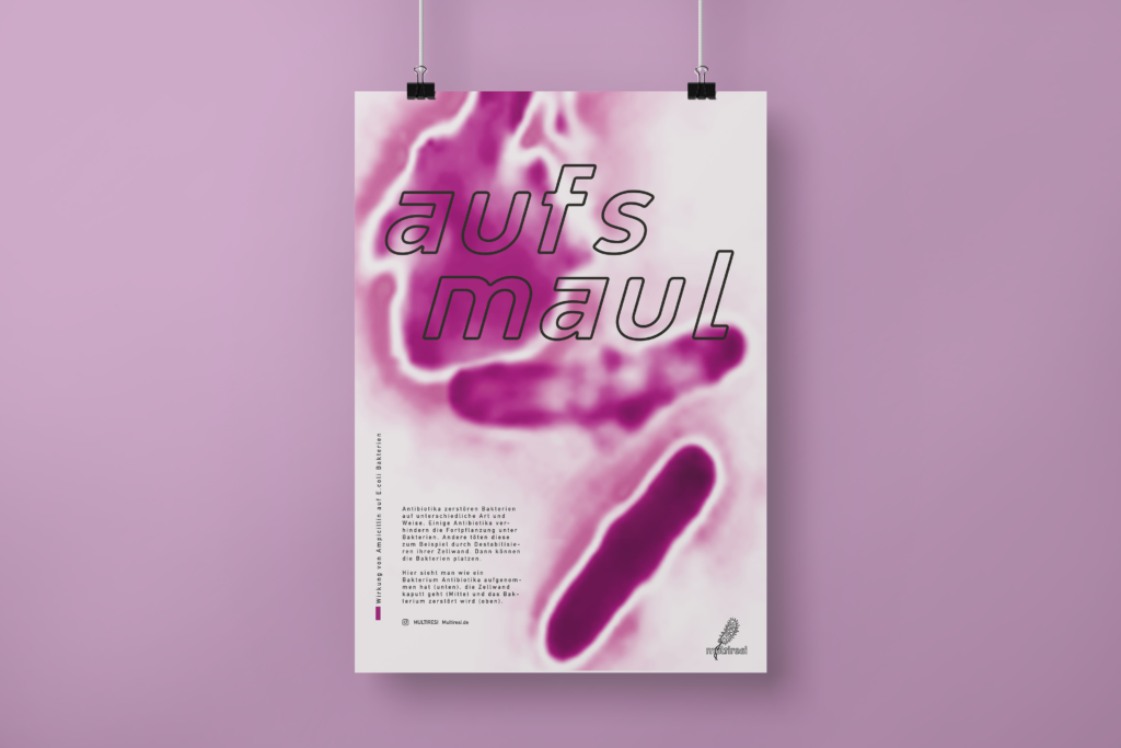 Poster aufs maul